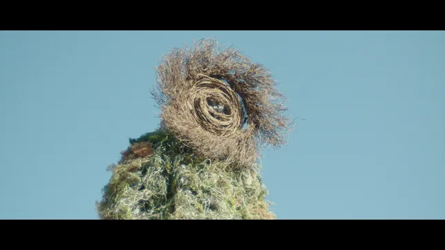 The Moss Man