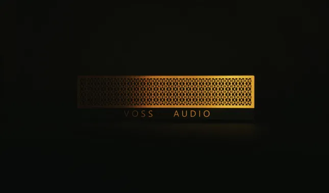 Voss Audio
