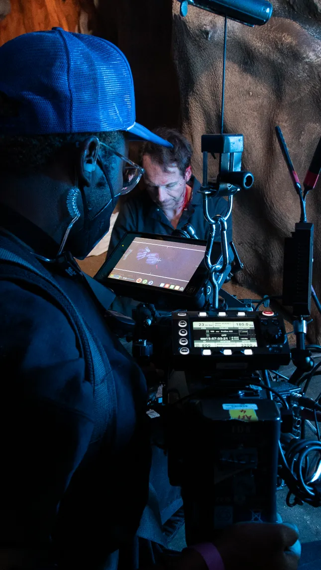 Project image
