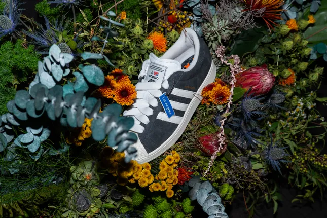 Adidas x LA Superstar 2025 Launch