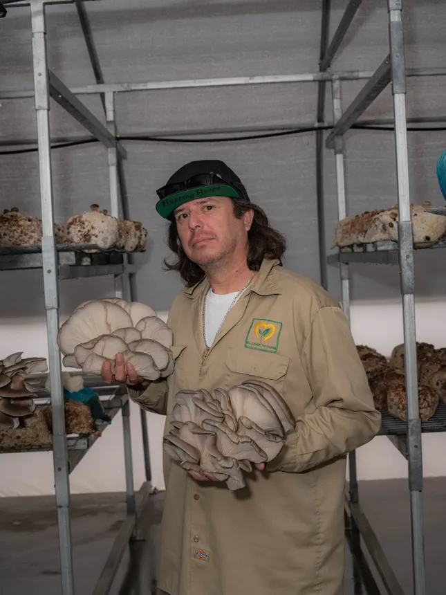 How to (deliberately) grow your own mushrooms at home (Los Angeles Times)