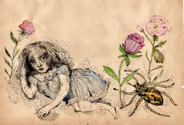 Spider Drawing