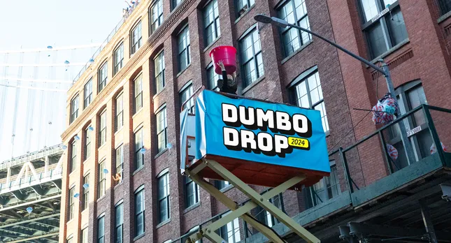 Dumbo Drop - Branding