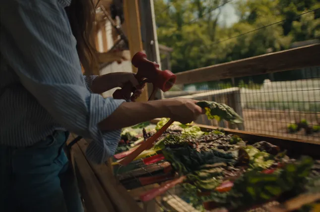 FARE - Behind the Bowl