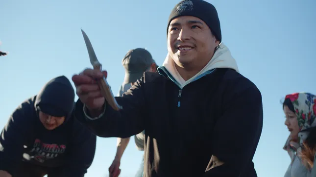 Piikani Nation Buffalo Harvest