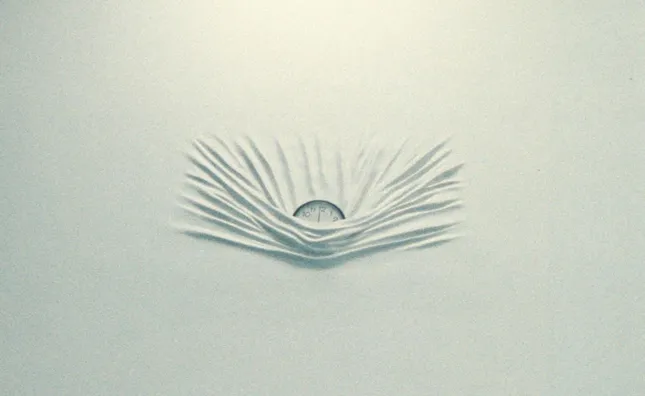 Daniel Arsham / Dr. Seuss Lorax Campaign Film