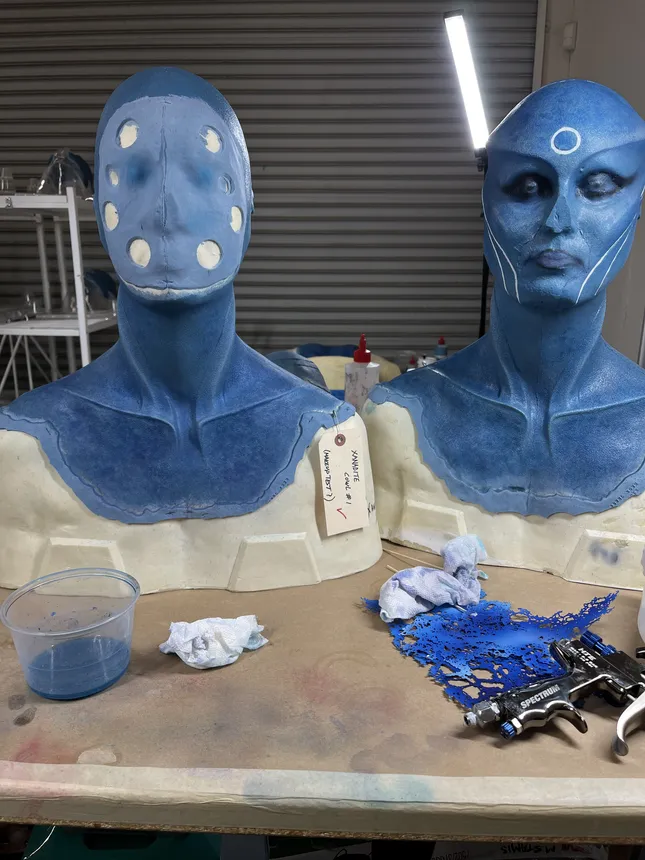 Project image