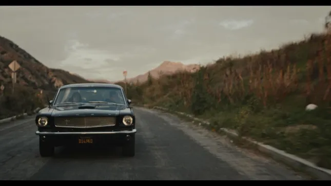 Thelma & Louise