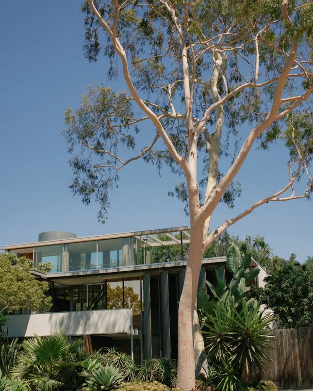 The Neutra House