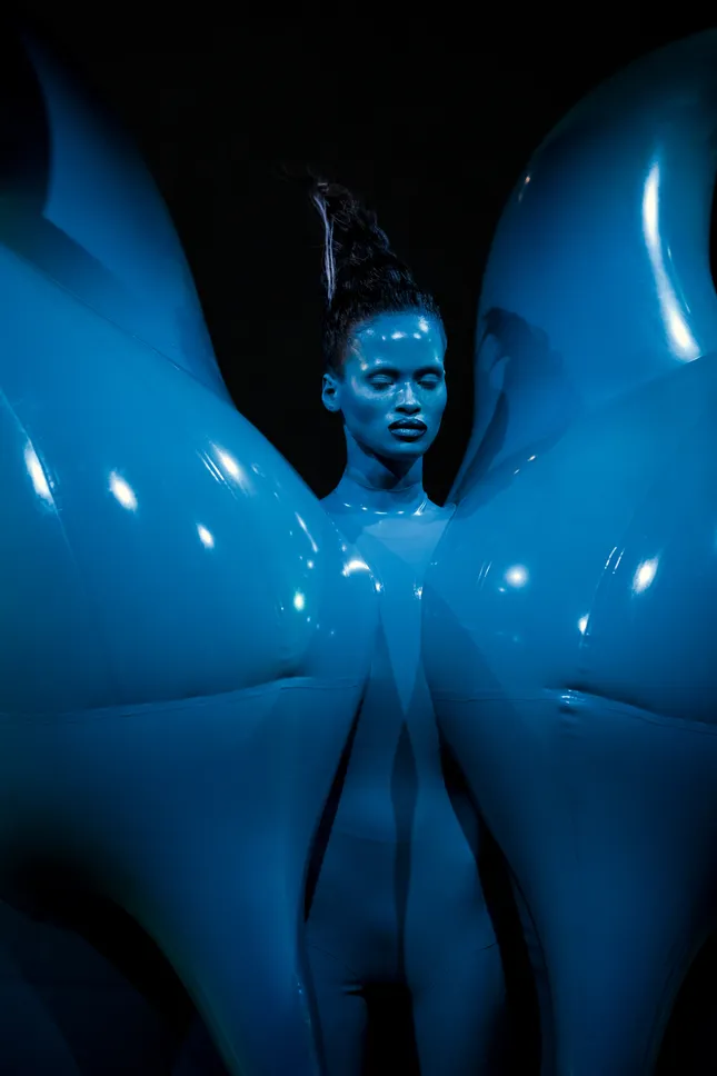 Project image