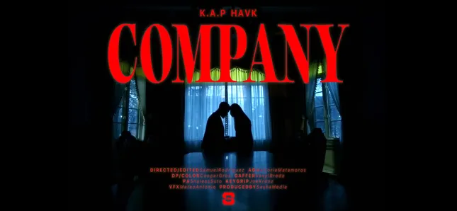 Havk - Company