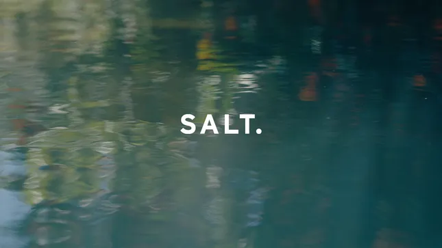 Salt sunglasses