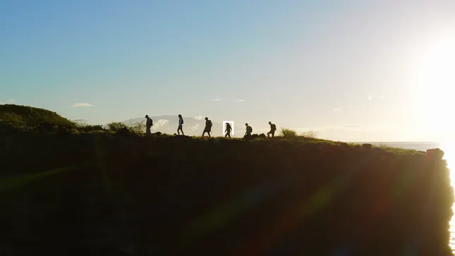 Four Seasons - Sensei