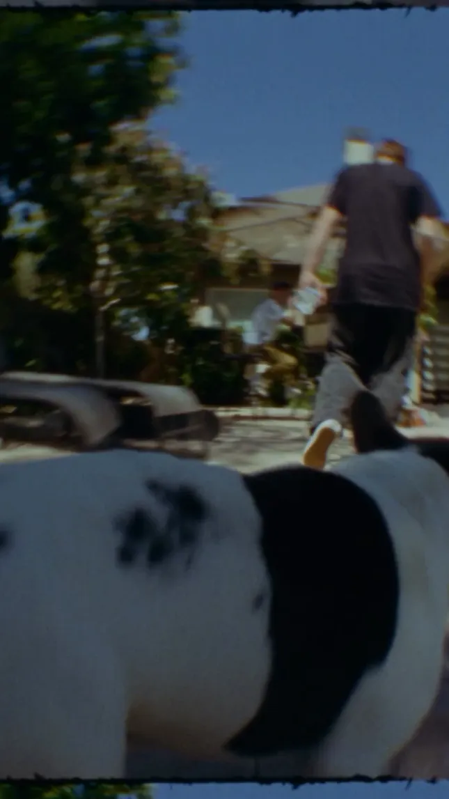 Vans - It Never Stops - Steve Caballero