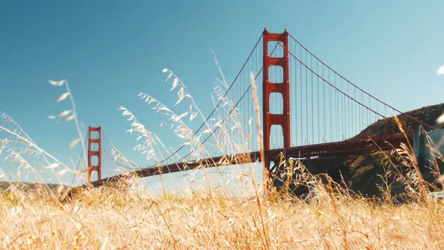 Brand Story - National MS Society Gala Film