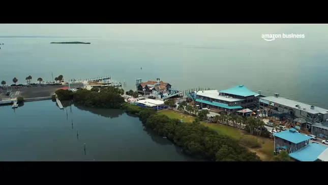 Cedar Key Dolphin Project