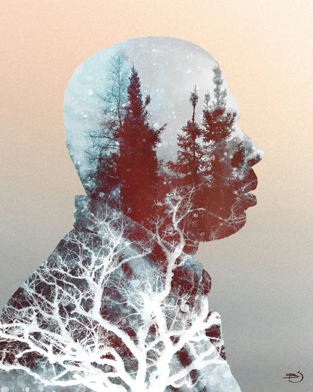 Digital Illustrations & Designs