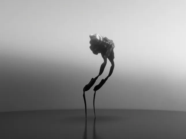 Walker type 3