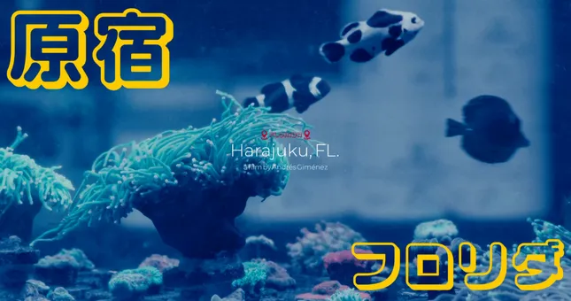 Harajuku, FL (Miami Teaser)