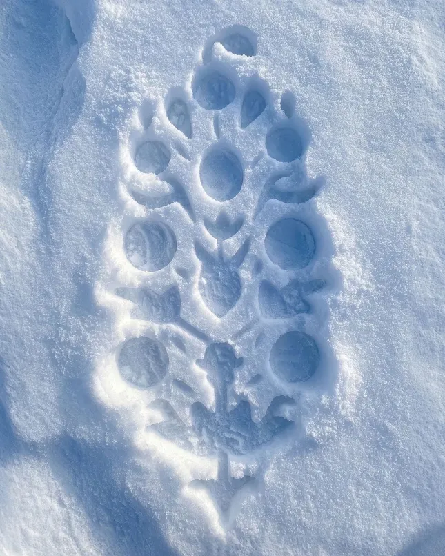 FP Movement Aspen Escape