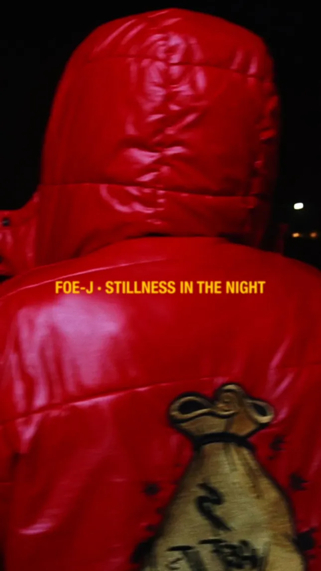 Foe-J - Stillness In The Night