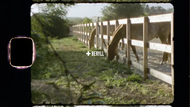 +Beryll SS24