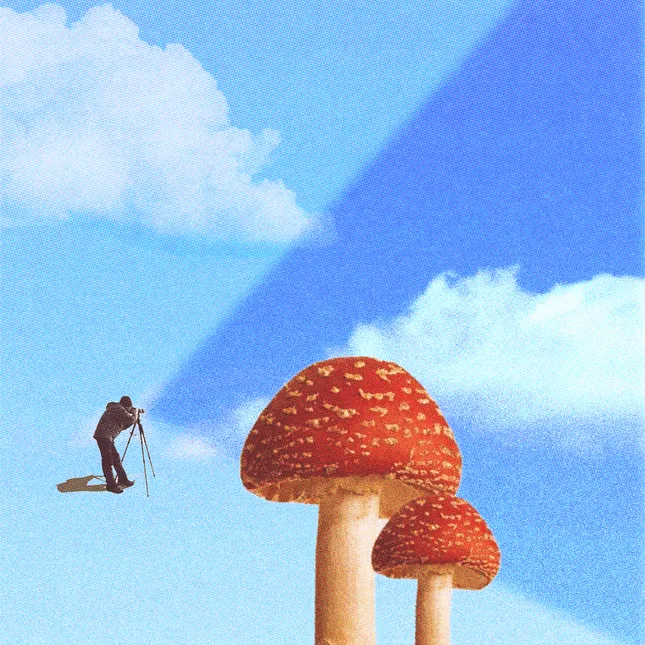 Project image