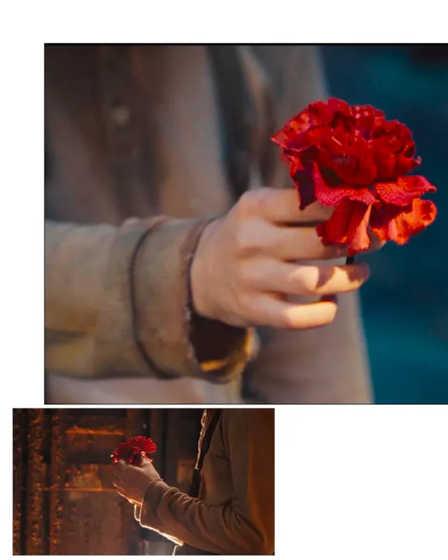 hadestown • social content