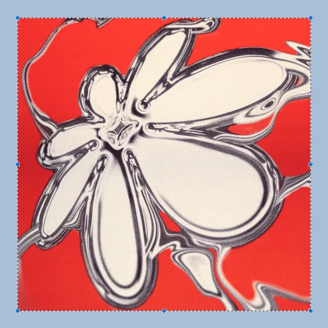 daisy chain, flyer imagery (yr.)2021 - 2023