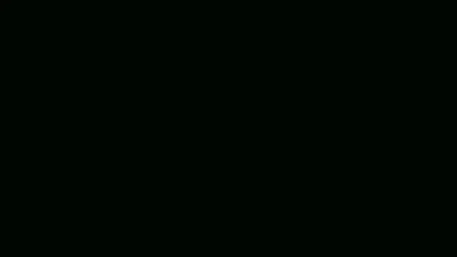Scissor Films XR Reel