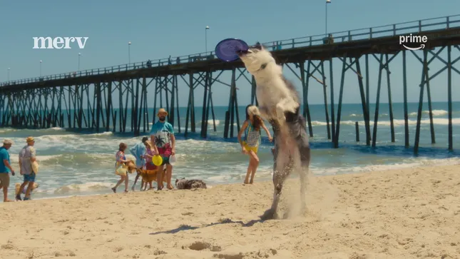 Merv “The Power of Pets” | Presented by BISSELL