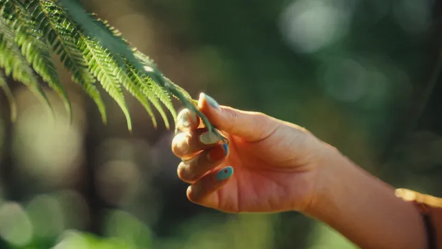 Proper Bones | Found