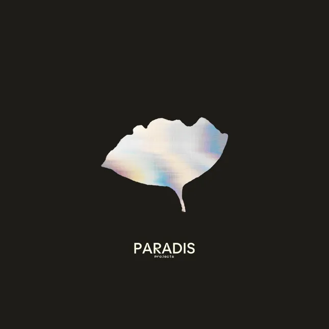 P A R A D I S Projects - Logo & Brand Design
