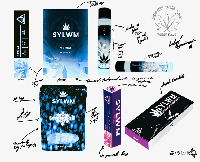 SYLWM concept work