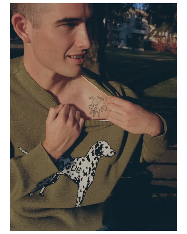 Natural Operation Dalmatian Sweater