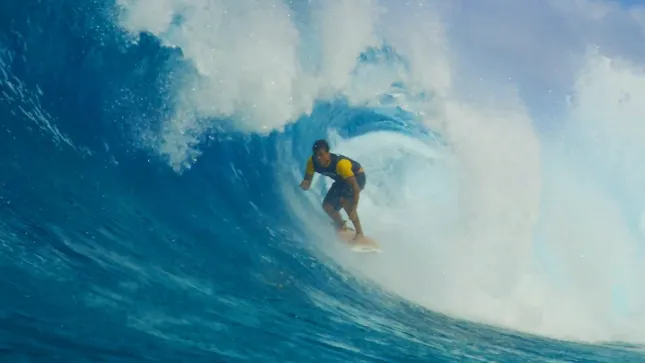 Natural Selection Surf