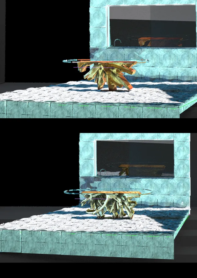 Project image