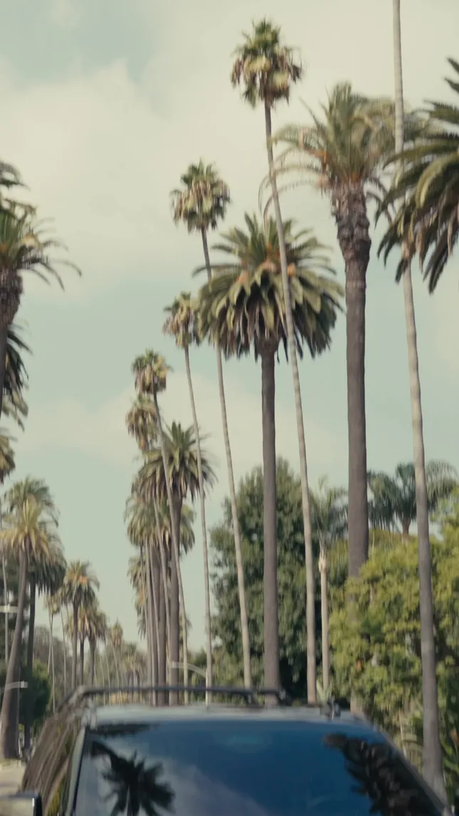 Beverly Hills Car Service