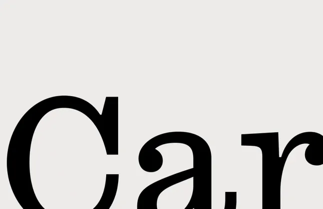 Carpe branding and website