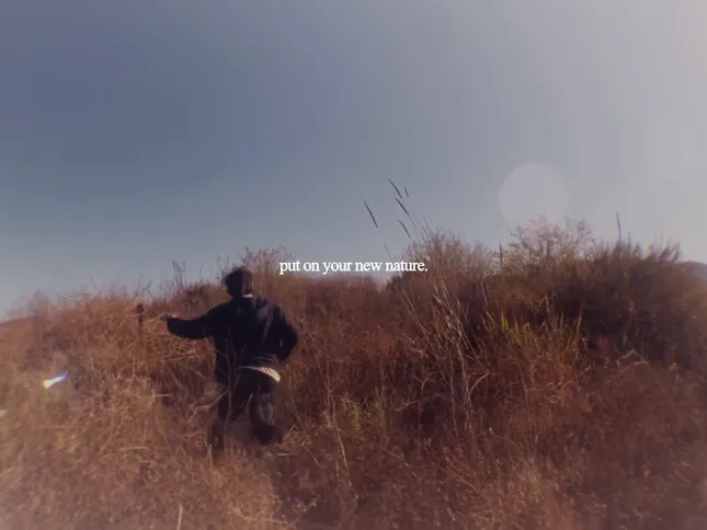 Kaló Soil branding vignette