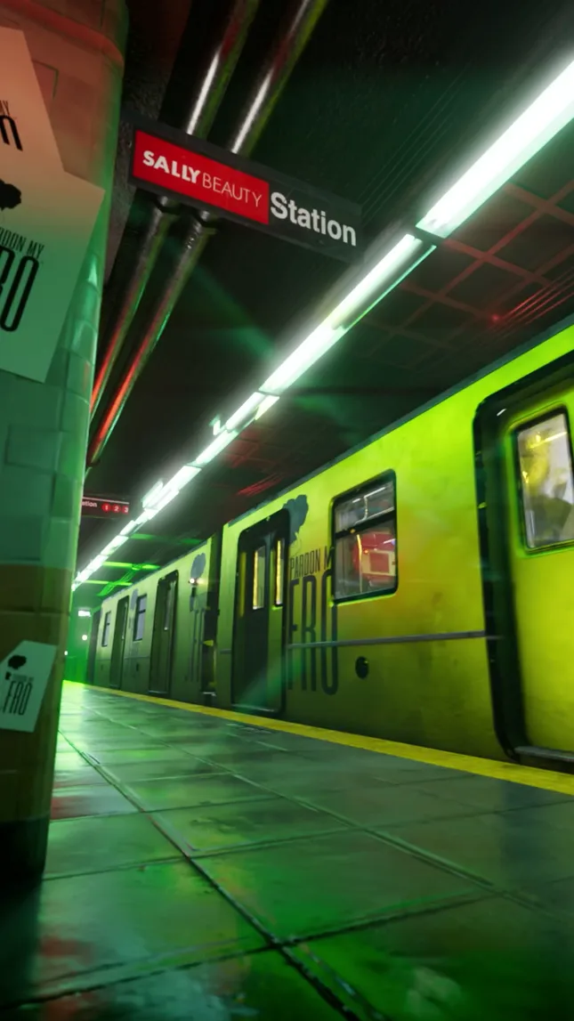 Pardon my Fro- Product Subway project