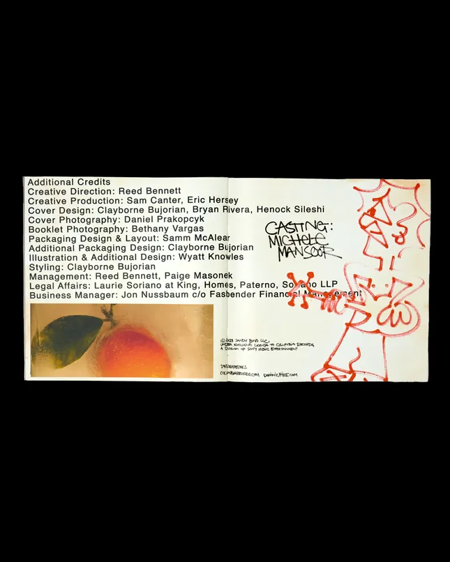 Project image