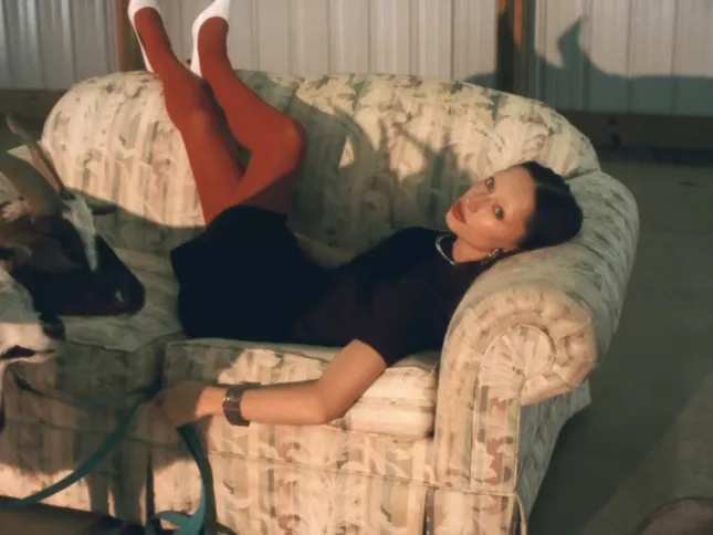 American Mirage Vol. 1 - The Serene Resigner (2025)