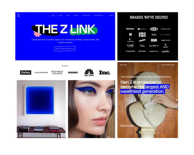 THE Z LINK