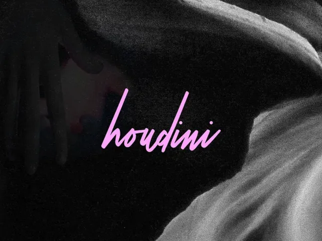 Houdini Interactive Brand