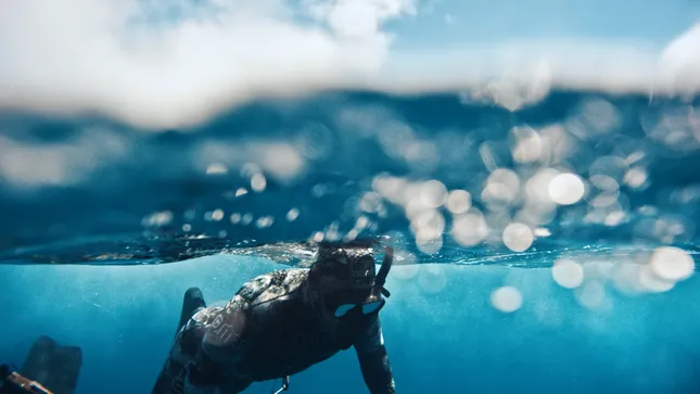 Hawai'i Tourism - From Spear to Fork