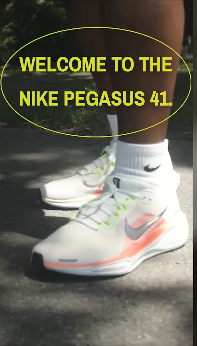 Nike Pegasus