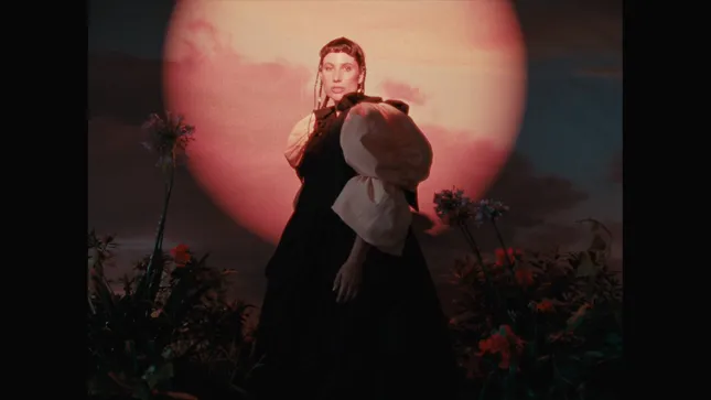 LISEL - THE PAST IS A TIGER