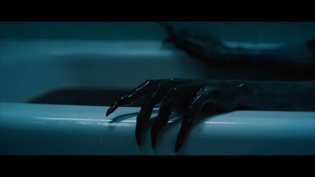 "AGUA NEGRA"