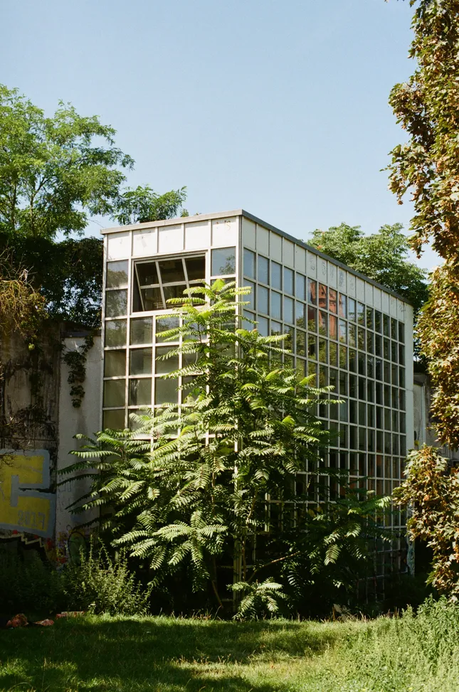 Project image